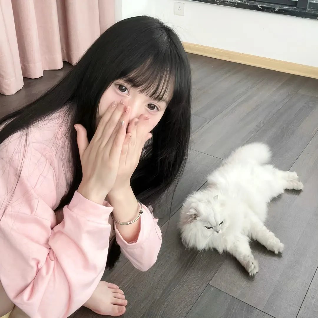 贺龙军长